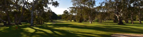 Souther Golf Group South Australia Golf Events 